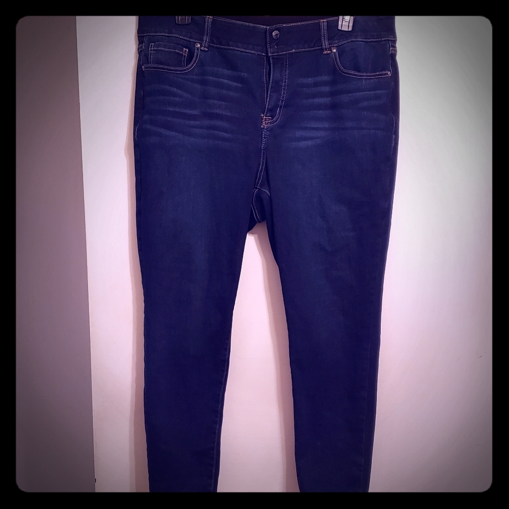 Tri Scope High Rise Skinny Jean (Lane Bryant)